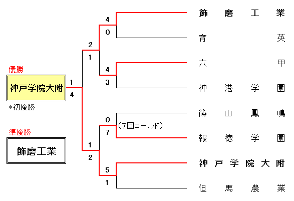 24Nx tGɌZ싅